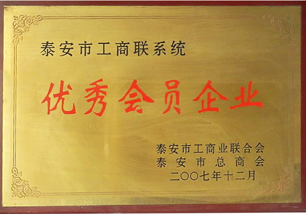 2007年12月(yuè)泰安市工商聯系統優秀會員(yuán)企業