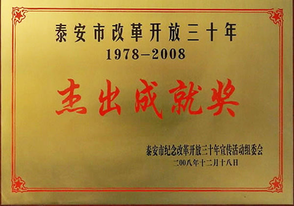 2008年泰安市改革開放三十年1978-2008傑出成就獎