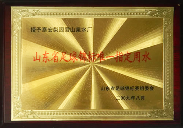 2009年8月(yuè)山東省足球錦标唯一指定用(yòng)水(shuǐ)